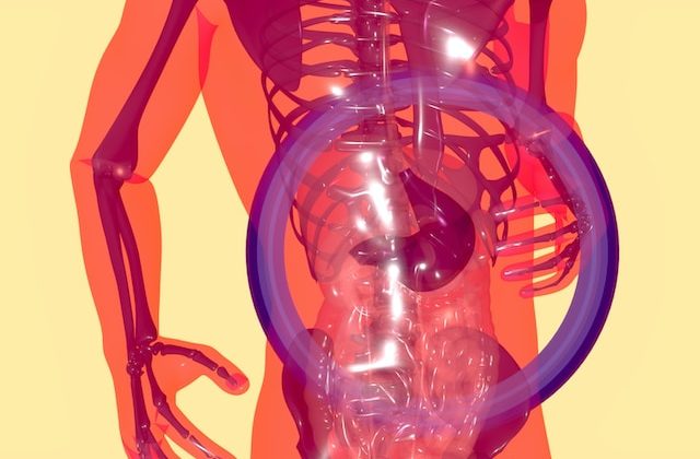 Fatty Liver Disease Symptoms, Causes, and Treatment Options