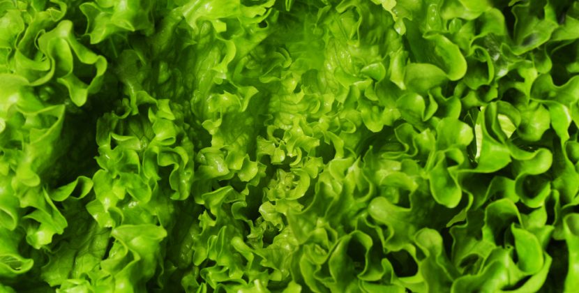 Love Your Heart with These Heart-Healthy Foods and Drinks