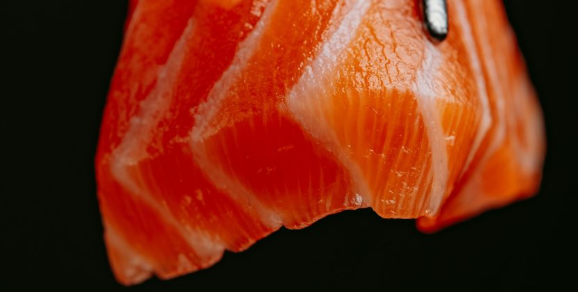From Ordinary to Extraordinary: Transforming Salmon with the Magic of Salt