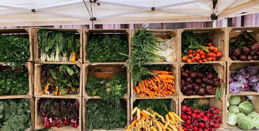 Food for Thought: How to Keep Blood Sugar in Check with Smart Choices