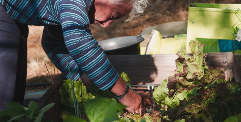 The Art of Modern Gardening: Creating a Minimalistic Outdoor Sanctuary