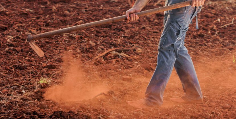 Pushing for a Sustainable Future: Farming Fund Tops $13 Billion