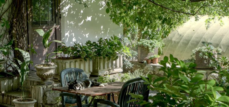 Aromatic Bliss: The Benefits of Growing Herbs on Your Patio or Balcony