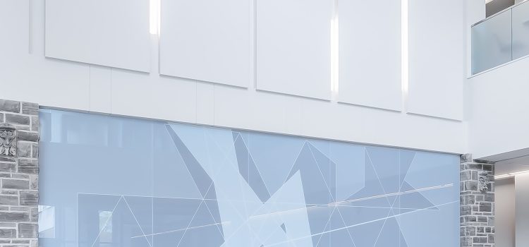 Navigating Differences: Strategies for Building Stronger Company Cohesion