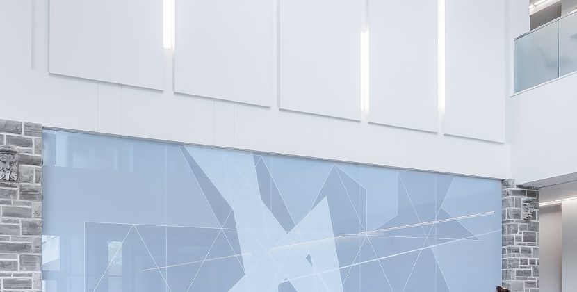 Navigating Differences: Strategies for Building Stronger Company Cohesion