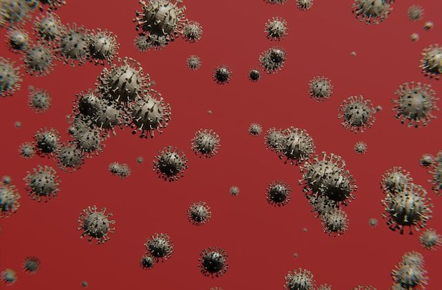 Link Between Mutations and Alzheimer’s Disease Protection