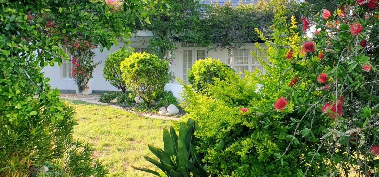 From The Art of Letting Go: How Gardening Teaches Us to Release Control and Embrace Growth