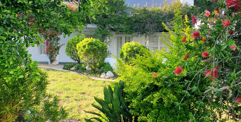 From The Art of Letting Go: How Gardening Teaches Us to Release Control and Embrace Growth