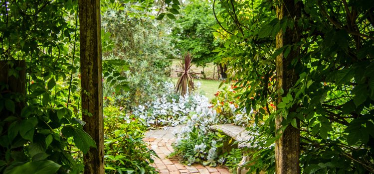 Unleash Your Inner Chef: Master the Art of Farm-to-Table Gardening for Mouthwatering Meals