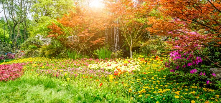 From Caterpillar to Butterfly: How to Support the Entire Lifecycle in Your Garden