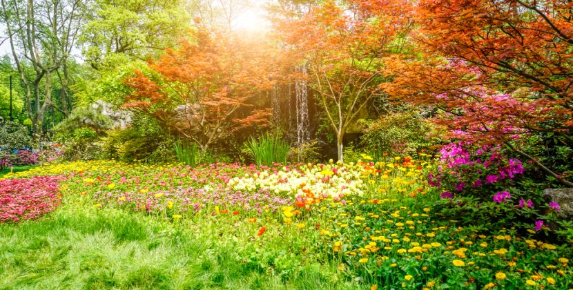 From Caterpillar to Butterfly: How to Support the Entire Lifecycle in Your Garden