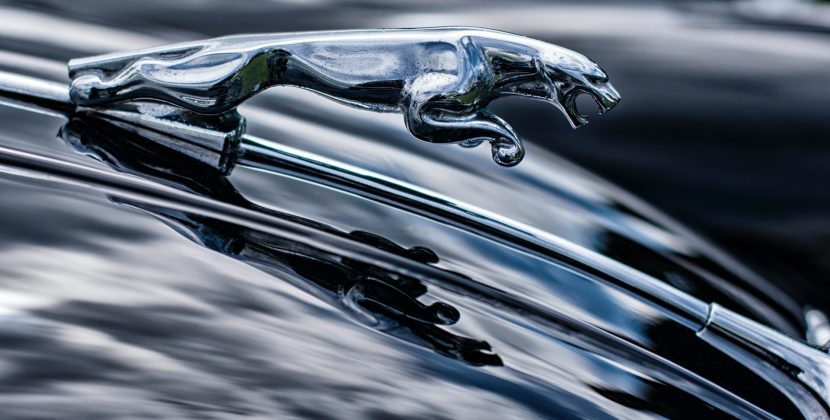 Unraveling the Mystery: What’s Happening with Jaguar?