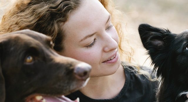 Managing Multiple Personalities: Tips for Living With a Pack of Dogs