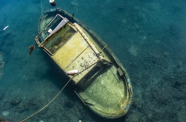 Harnessing the Power of Nature: The Promising Future of Mussel-Based Solutions