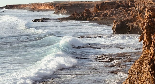 What caused the massive fish die-off on the Texas coast?