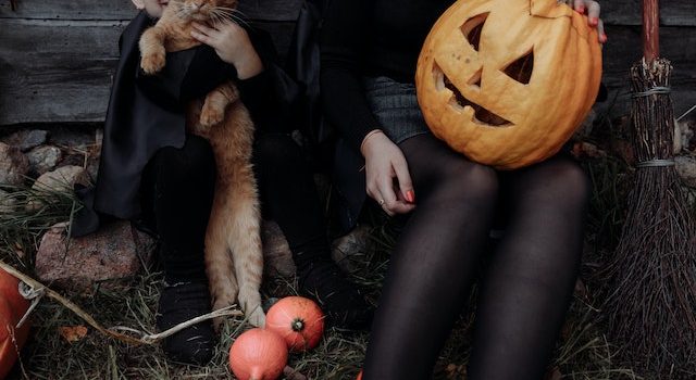 The Great Outdoors: Adventures to Enjoy with Your Outdoor-loving Cat