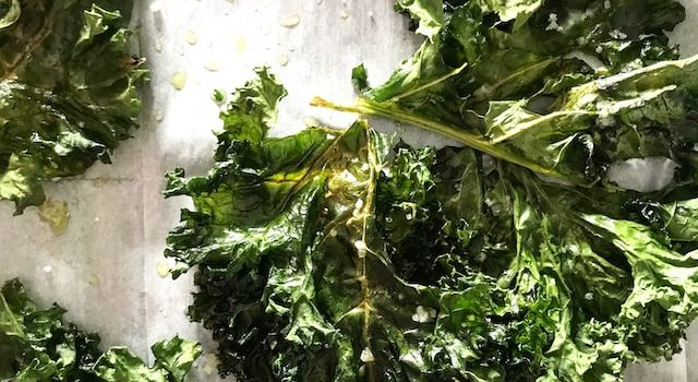 Understanding the Difference for Better Digestion