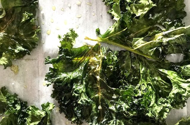 Understanding the Difference for Better Digestion