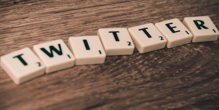 Resignation Alert: Twitter’s Content Policy Executive, Ella Irwin, Bids Farewell