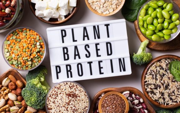 Plant-Based Casein