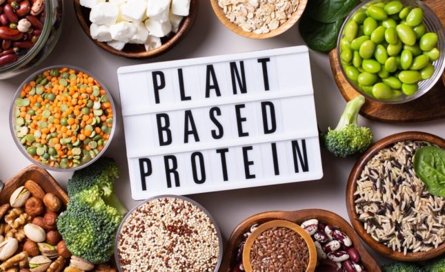 Plant-Based Casein