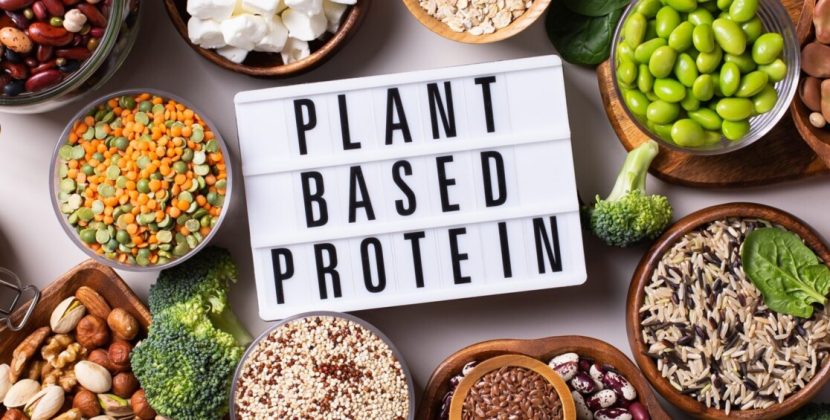 Climax Foods’ Plant-Based Casein: A New Food Science Era
