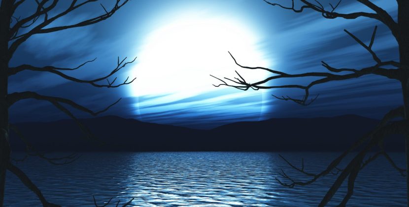 Witcher 3: Wild Hunt