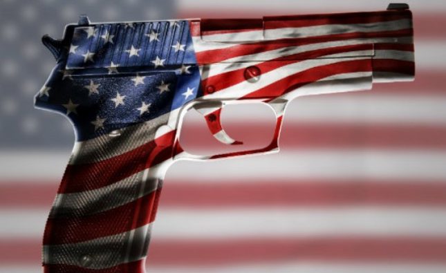 Gun Purchases America Motivating Factors