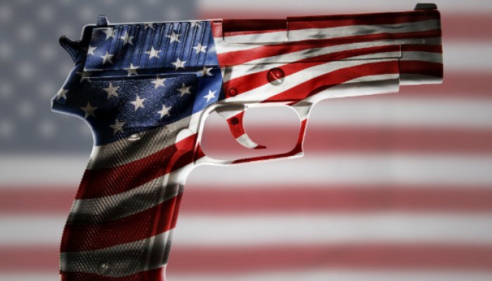 Gun Purchases America Motivating Factors