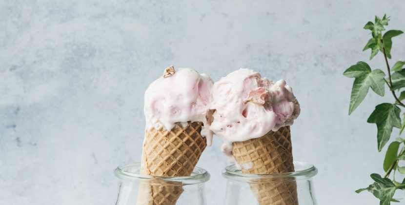 vegan ice cream