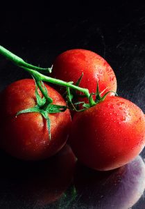 disease-resistant tomato varieties