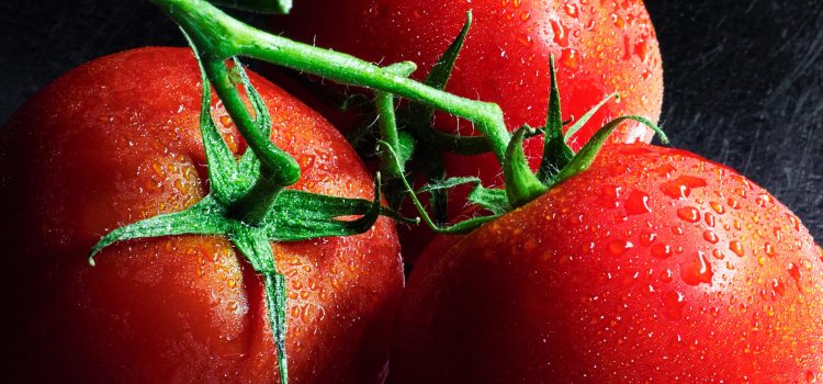 Tomato Breakthrough: Commercializing Disease-Resistant Varieties