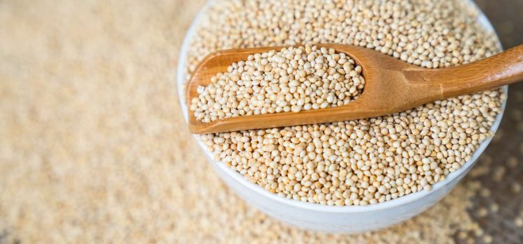 Tiny Grain, Big Impact: A Guide to Adding Millet to Your Diet