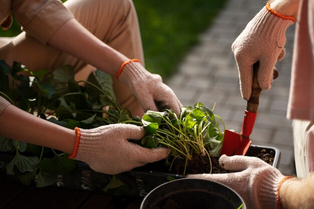 Beginner-Friendly Vegetable Growing Tips for Budding Gardeners