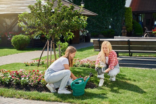 Garden Ideas