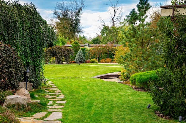 Vegetable Garden