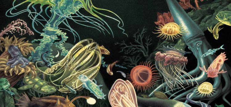 Unveiling Hydrothermal Vent Life: Unique Adaptations of Underwater Fauna