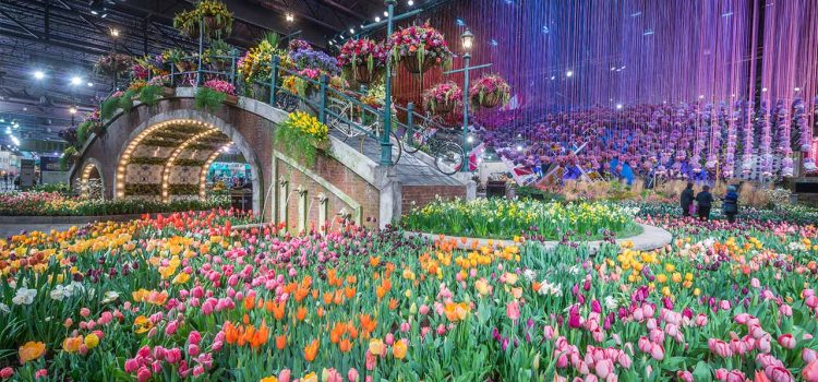 Garden Symphony: Exploring the Enchanting Display Gardens of the Philadelphia Flower Show