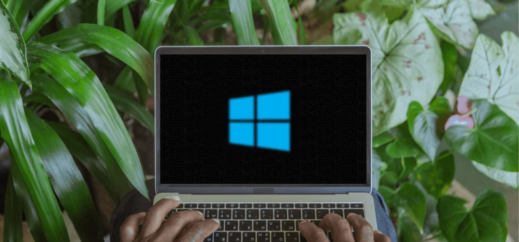 How to Find SID in Windows 11: Step-by-Step Guide