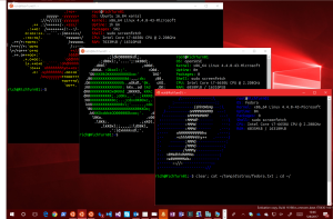 Windows Subsystem for Linux