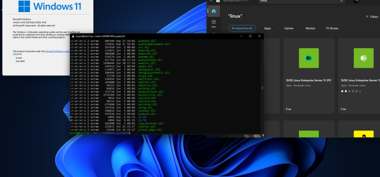 Windows Subsystem for Linux: A Comprehensive Guide