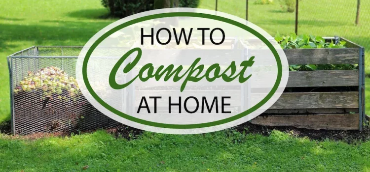 Guide to Setting Up Your Home Composting System