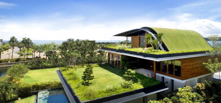 Sustainable Homes: Revolutionizing Real Estate with Green Living