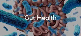 Healthy Gut