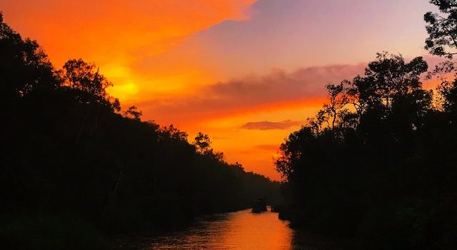 Nature’s Canvas: Understanding the Artistry of Orange Skies from Wildfires