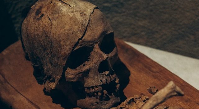 Ancestors’ Lives Mysteries Hidden in Ancient Bones