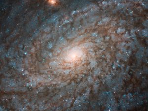 Central Black Hole