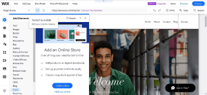 Sites vs. Wix