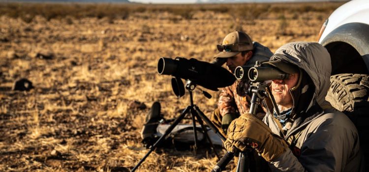 Beyond the Horizon: Top Binoculars of 2023 for Nature Enthusiasts