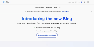 Bing's AI
